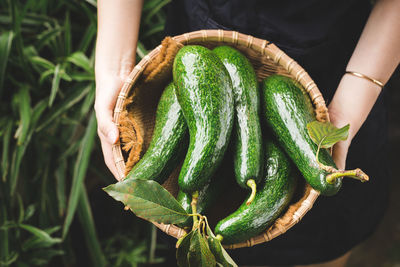 Cropped hand of woman holding vegetables in container