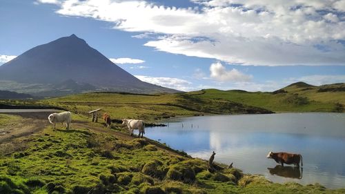 Scenic view of landscape against cloudy sky