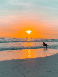 Scenic view of beach during sunset
