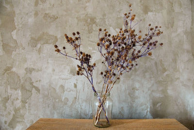 Bouquet of dried wild flowers on the background of a concrete wall 