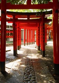 View of red torii gates at a shinto shrine in shibuya, tokyo