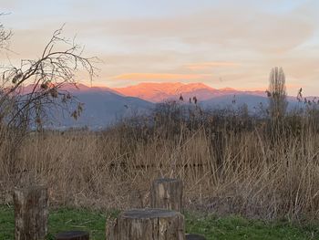 Scenic view of field against sky during sunset