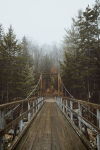 Footbridge in forest