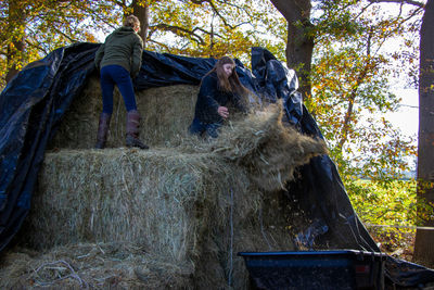 Low angle view of horse on land