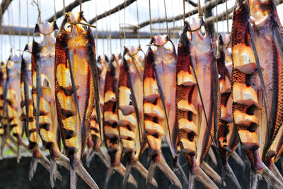 Fishes hanging in market for sale