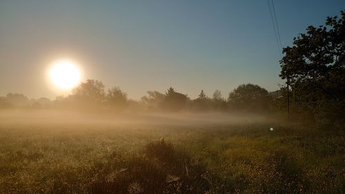 morning
