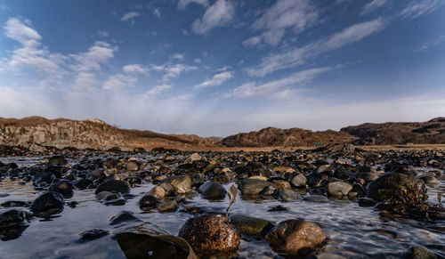 View of crab on beach against sky