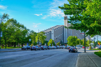 Cars on road by trees against sky in city