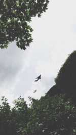 Low angle view of trees against sky