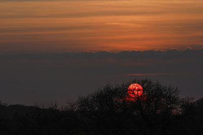 Silhouette trees against sky during sunset