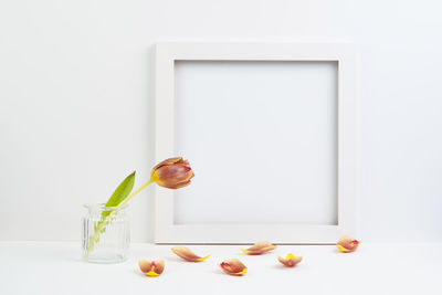 Close-up of vase against white background