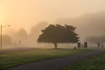 Trees on field against sky at sunset