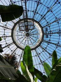 Low angle view of ceiling