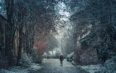 Rear view of people walking on road in forest