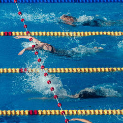 High angle view of people swimming in pool