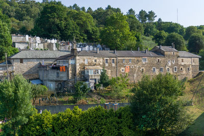 Plants and trees by buildings against sky