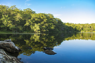 Scenic view of lake by trees against sky