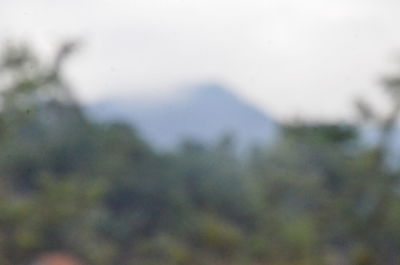 Defocused image of trees on landscape against sky