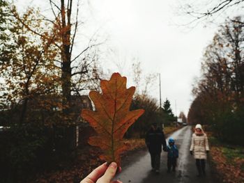 People on maple leaves during autumn