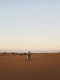 Camel riding with desert view