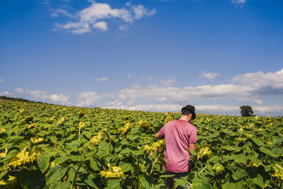 Rear view of man standing in farm against sky