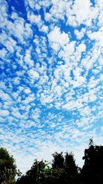 Low angle view of trees against cloudy sky