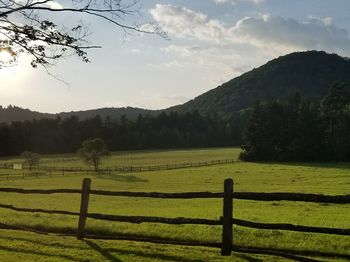 Scenic view of agricultural field against sky