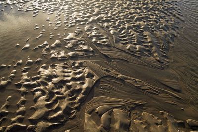 High angle view of footprints on sand at beach