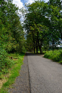 Road amidst trees in forest