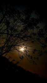 Low angle view of silhouette trees against sky during sunset