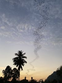 Low angle view of silhouette trees against sky during sunset