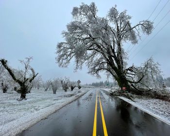 Road amidst trees against sky during winter