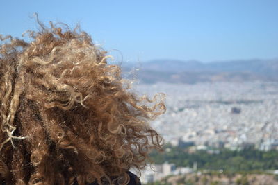 Close-up of tree against sky in city