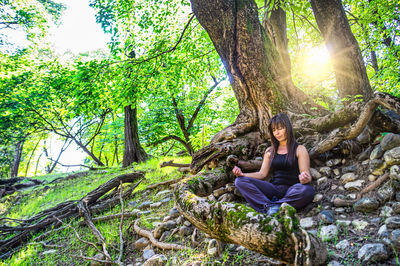 Rear view of woman sitting in forest