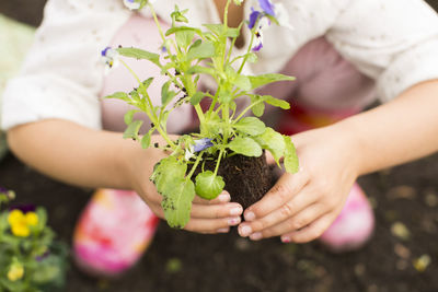 Midsection of woman holding plant