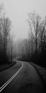 Road amidst bare trees against sky