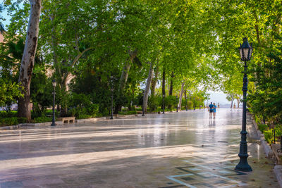 People walking on road