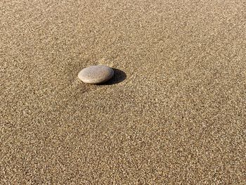 High angle view of pebbles on beach