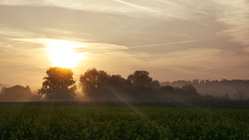 Scenic view of field against sky during sunset