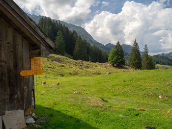 Scenic view of field against sky