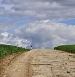 Surface level of dirt road along landscape