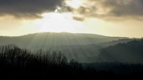 Silhouette trees in forest against sky