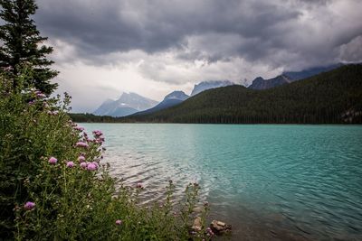 Scenic view of lake and mountains against sky