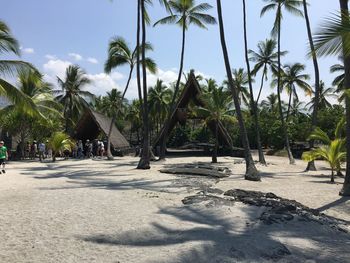 Palm trees on beach against sky