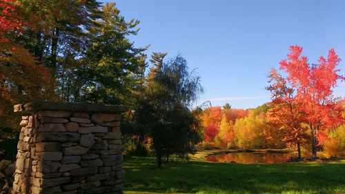 Scenic view of grassy field