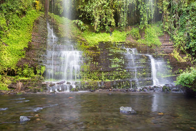 Scenic view of waterfall in forest