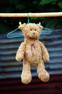 Close-up of stuffed toy hanging on coathanger