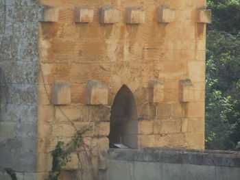 Shadow of old ruin building