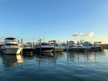 Boats moored in harbor