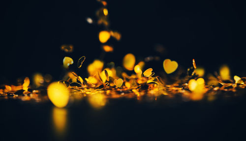 Close-up of yellow leaves against sky at night